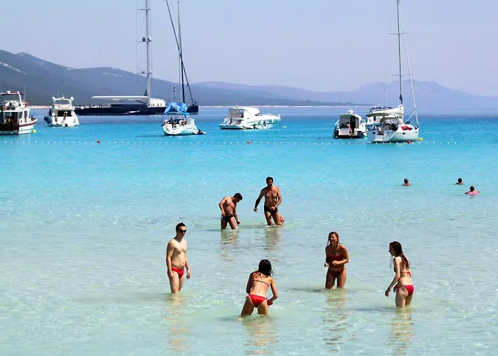 Apartments With A Parking Space Sali, Dugi Otok - 8136